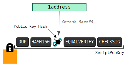 Wallet software decodes addresses to get the hash160(public key) from inside it.