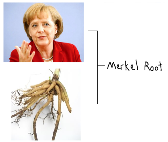 Angela Merkel Root