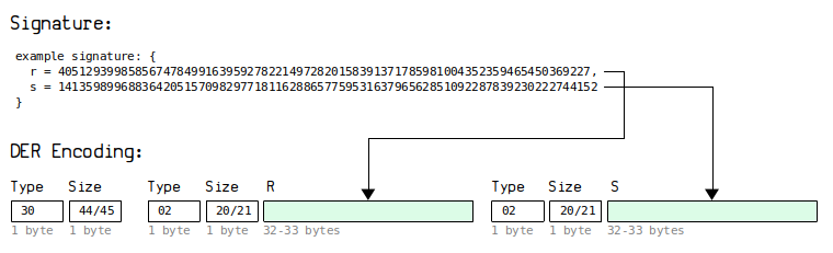 A diagram showing how convert a raw signature to DER encoding.