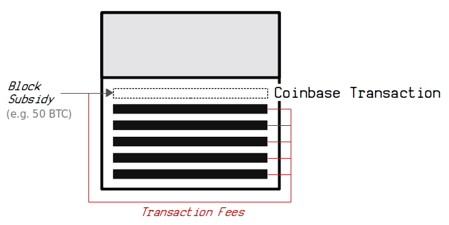 Coinbase Transaction - 