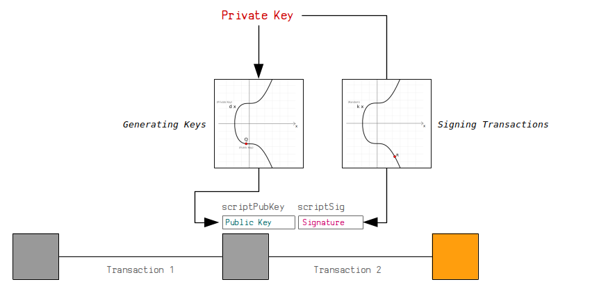 skjold Rationel reparere ECDSA | How To Create Public Keys and Signatures in Bitcoin